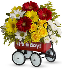 Baby's Wow Wagon by Teleflora from Krupp Florist, your local Belleville flower shop